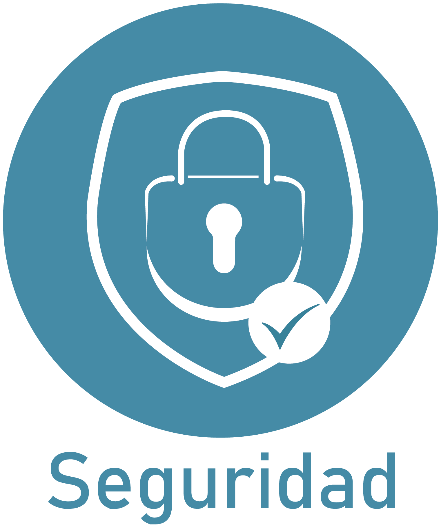 seguridad